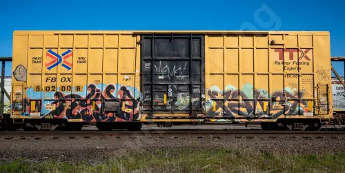 FBOX502006