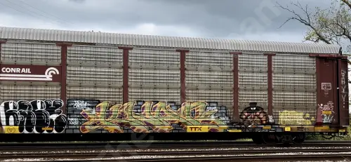 TTGX981026