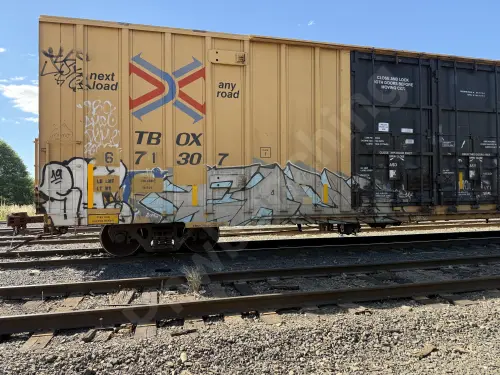 TBOX671307