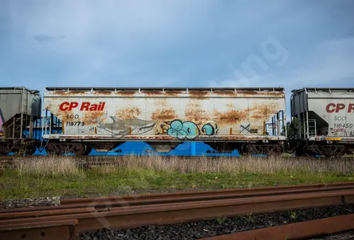 SOO115773