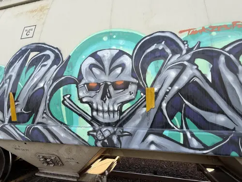 AOKX497313
