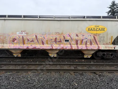 DNAX585018