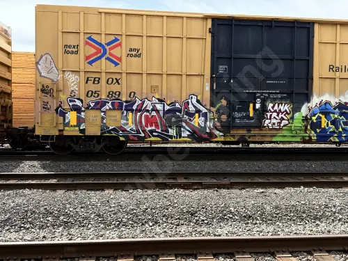 FBOX505890