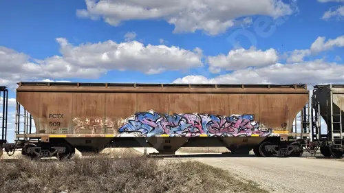 FCTX509