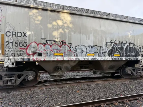 CRDX21565