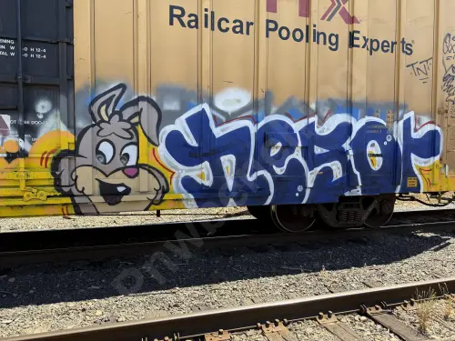 TBOX662279