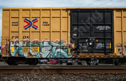 FBOX505456