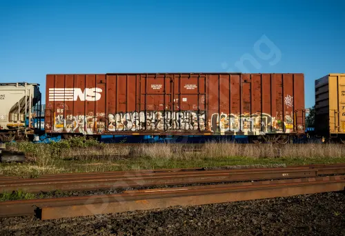 NS471300
