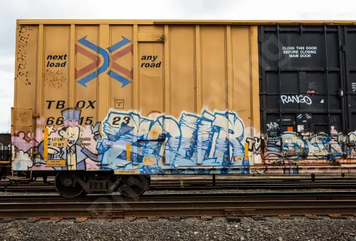 TBOX661523