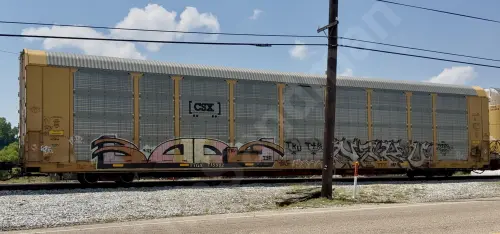 TTGX715982