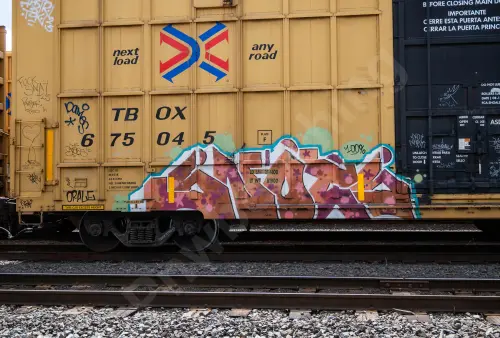 TBOX675045