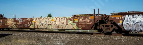 AOK55494