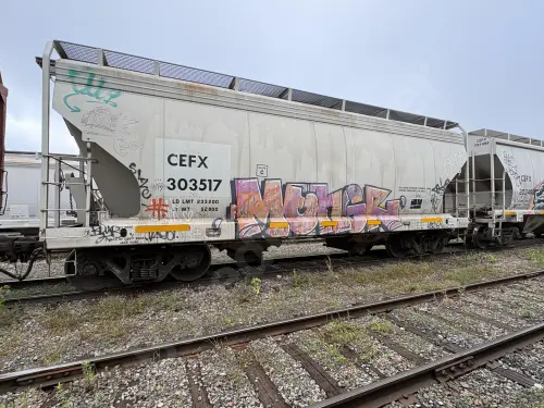 CEFX303517