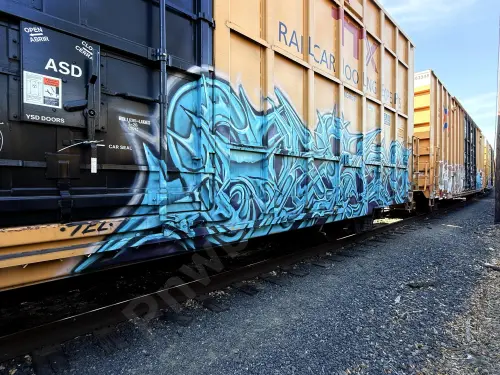 TBOX635828