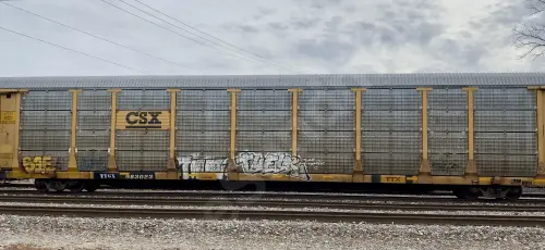 TTGX983023