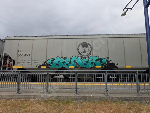 CP655491