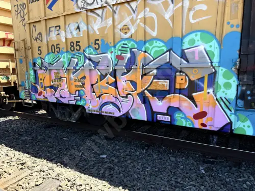FBOX505855