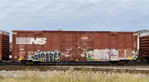 NS470213