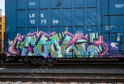 LRS137536