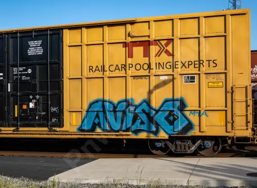 TBOX631589