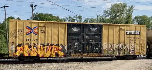 TBOX666367