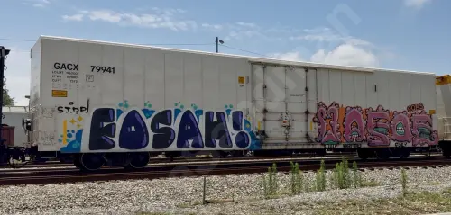 GACX79941