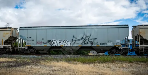 CAEX581955