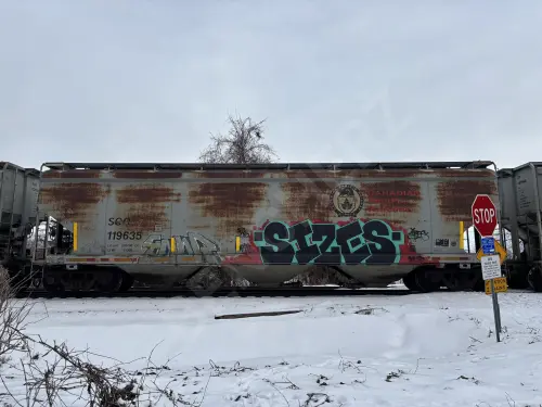 Train photo