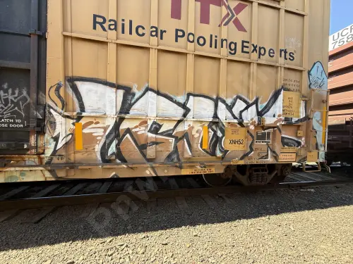FBOX506007