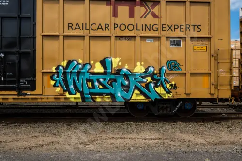 TBOX635756