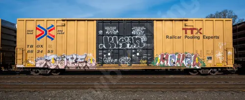 TBOX663455