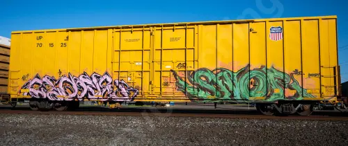 UP701525