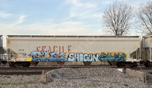 Train photo