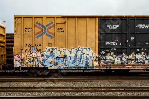TBOX661523