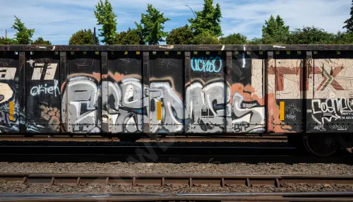 GNTX290126