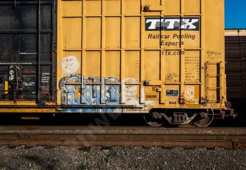 FBOX502284