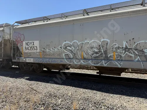 NDYX843553