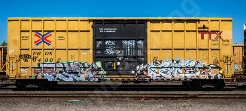 FBOX504002
