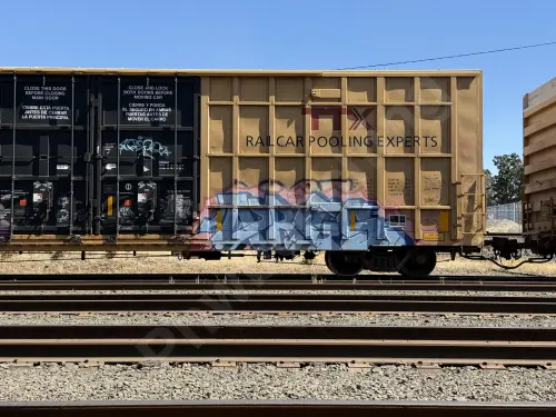 TBOX638437