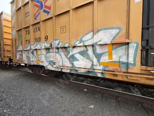 TBOX675309