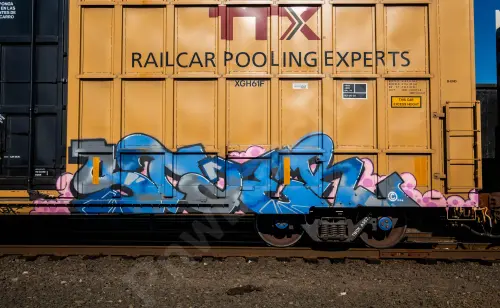 TBOX635779