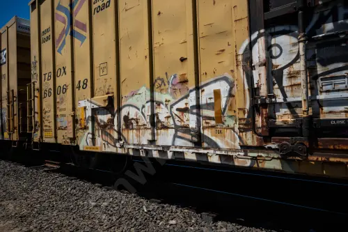 TBOX660648