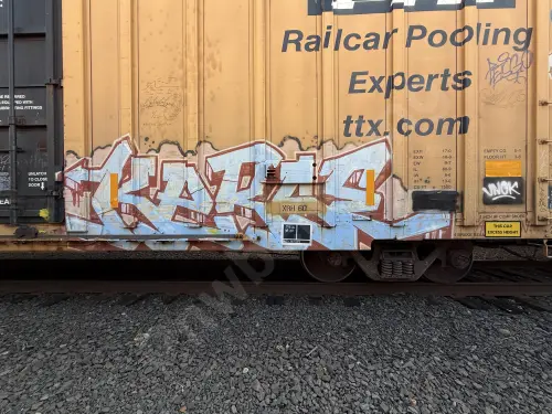TBOX670832