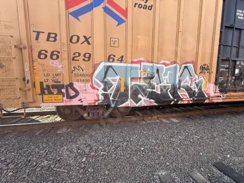 TBOX662964