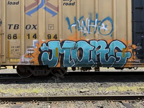 TBOX661494
