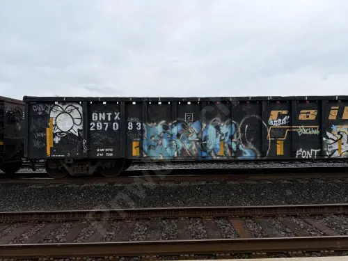 GNTX297083