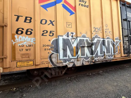 TBOX662547