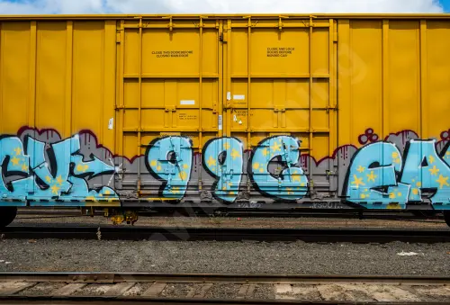 UP701313