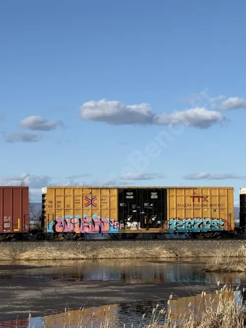 TBOX633112