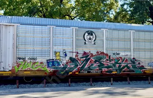 TTGX708745